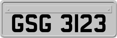 GSG3123