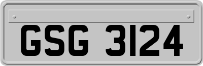 GSG3124