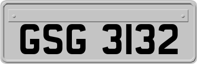 GSG3132