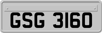 GSG3160