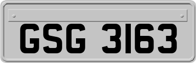 GSG3163