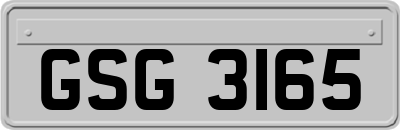 GSG3165
