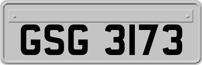 GSG3173