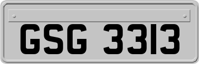 GSG3313