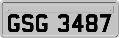 GSG3487