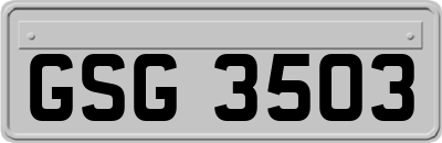 GSG3503