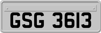 GSG3613