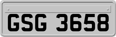 GSG3658