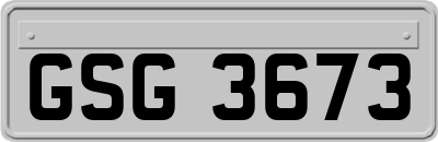 GSG3673
