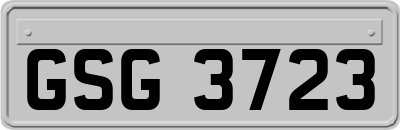 GSG3723