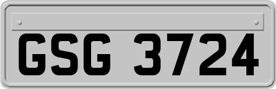 GSG3724