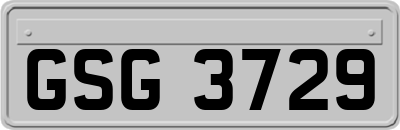 GSG3729