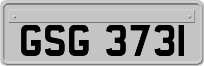 GSG3731