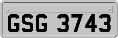 GSG3743
