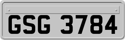 GSG3784