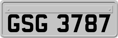 GSG3787