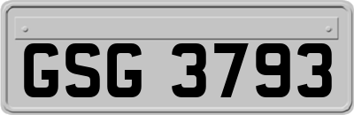 GSG3793