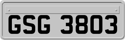 GSG3803