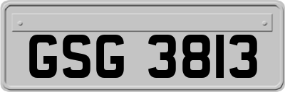 GSG3813