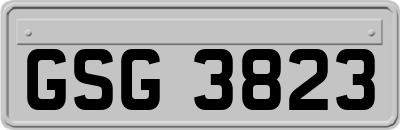GSG3823