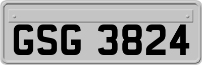 GSG3824