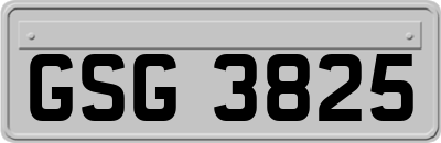 GSG3825