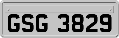 GSG3829