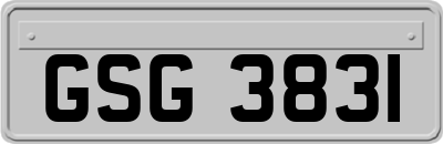 GSG3831