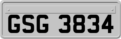 GSG3834