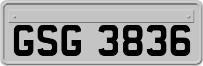 GSG3836
