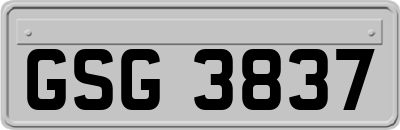 GSG3837