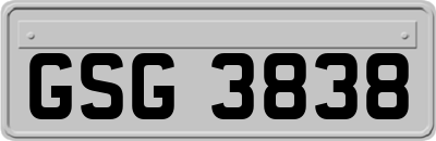 GSG3838