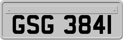 GSG3841