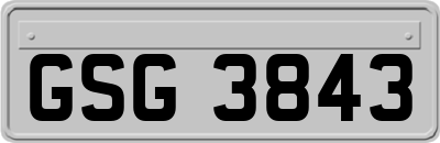 GSG3843