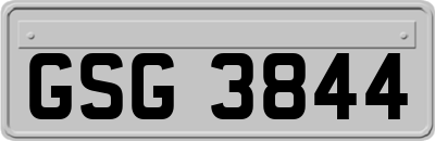 GSG3844