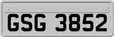 GSG3852