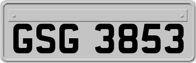 GSG3853