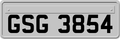 GSG3854