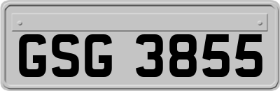 GSG3855