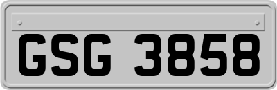 GSG3858