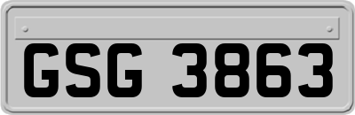 GSG3863