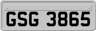 GSG3865