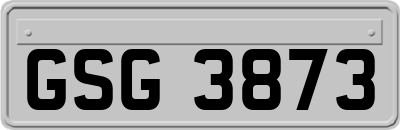 GSG3873