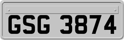 GSG3874