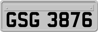 GSG3876