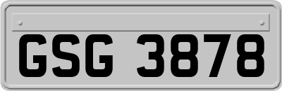 GSG3878
