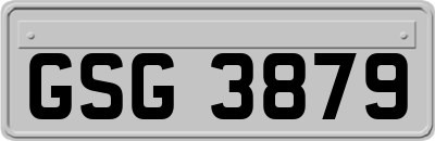 GSG3879