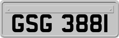 GSG3881