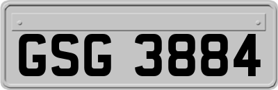 GSG3884