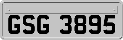 GSG3895